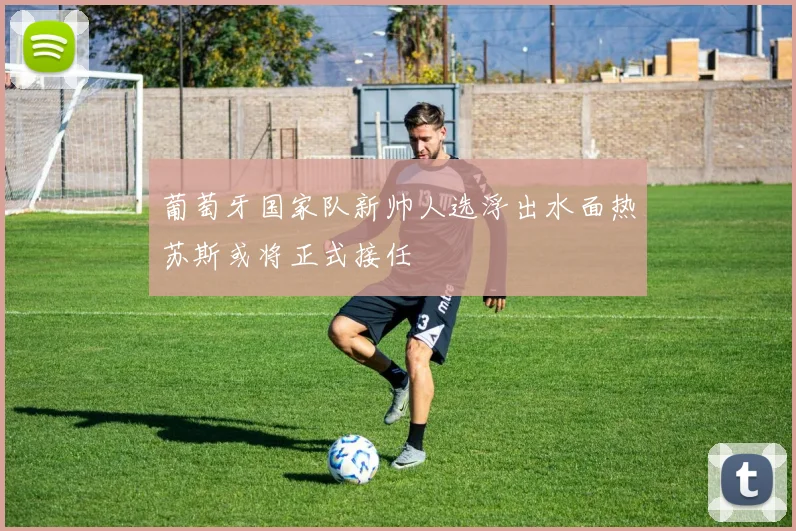 葡萄牙国家队新帅人选浮出水面热苏斯或将正式接任