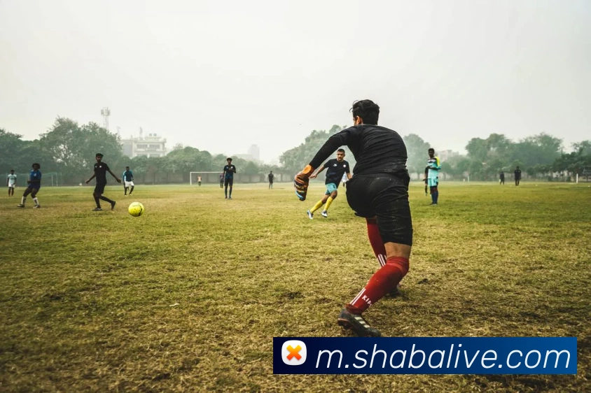 沙巴体育APP 封面图